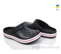 Кроксы Golden Lion